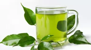 Зеленият чай е вид ароматна безалкохолна напитка която се приготвя