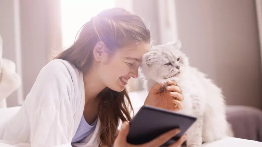 Късметче за всяка зодия за 8 ноември