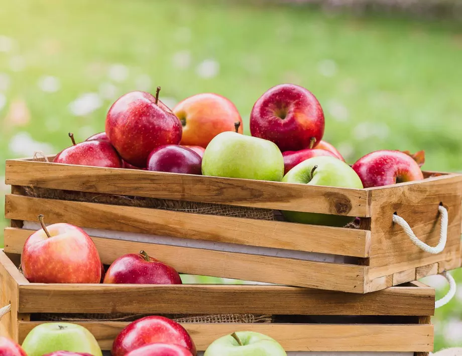 8 съвета как правилно да съхранявате зеленчуци и плодове от градината