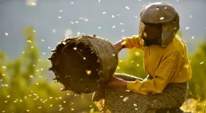 Гледаме безплатно филми, селектирани за награда LUX