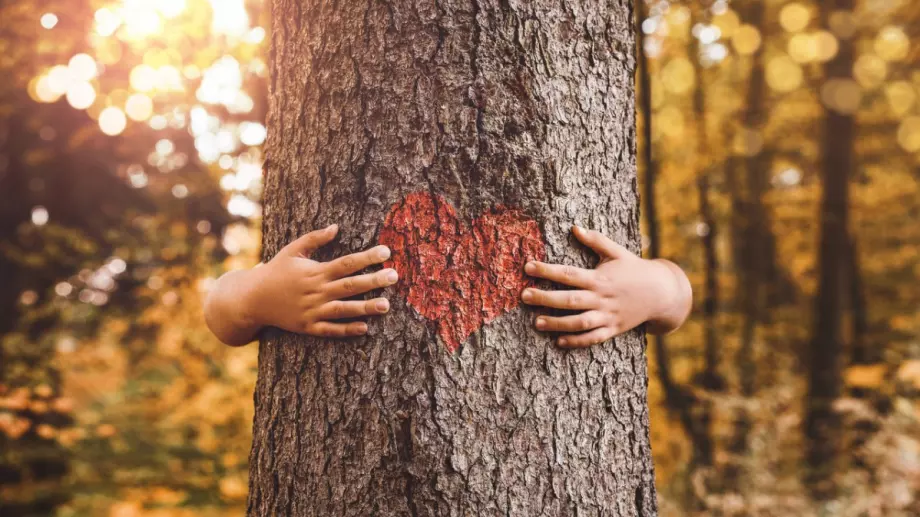 Митко, Георги и конструкциите