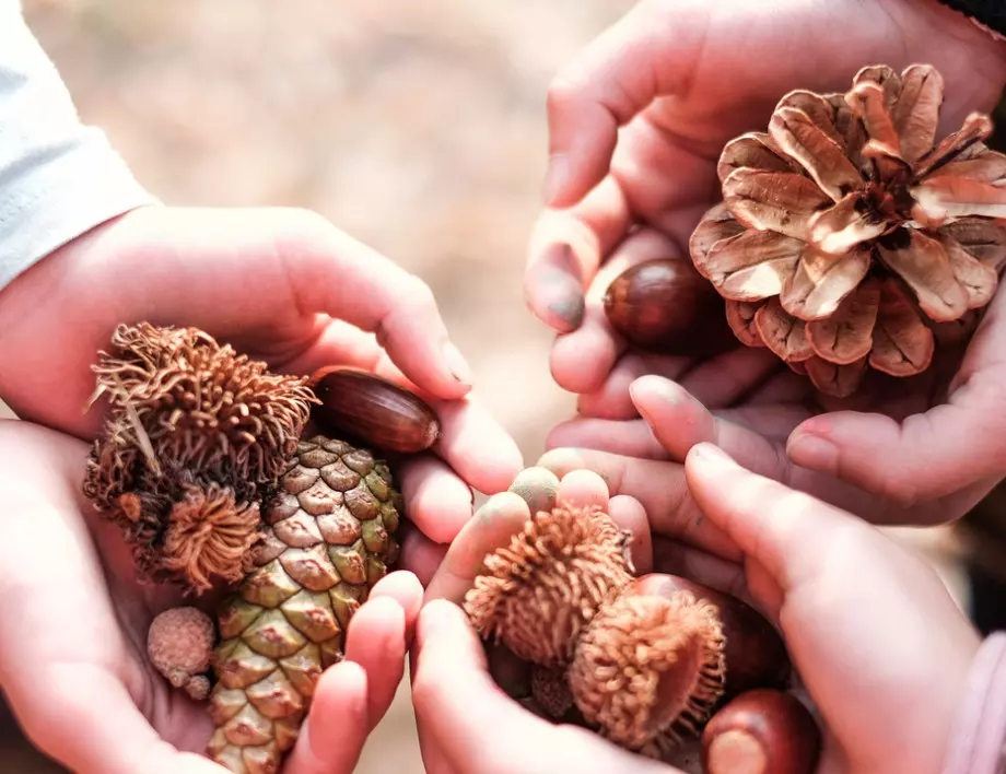 Община Бургас ще участва в пилотен проект на УНИЦЕФ за деца със СОП