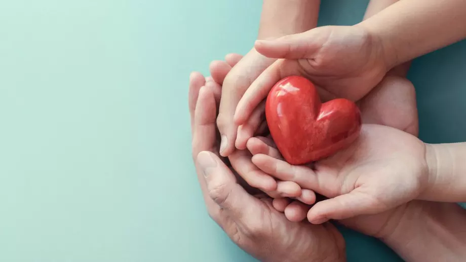 Кръвна плазма: Същност, функции и даряване