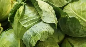 Само с 2 съставки: Ето как да предпазите зелето през септември