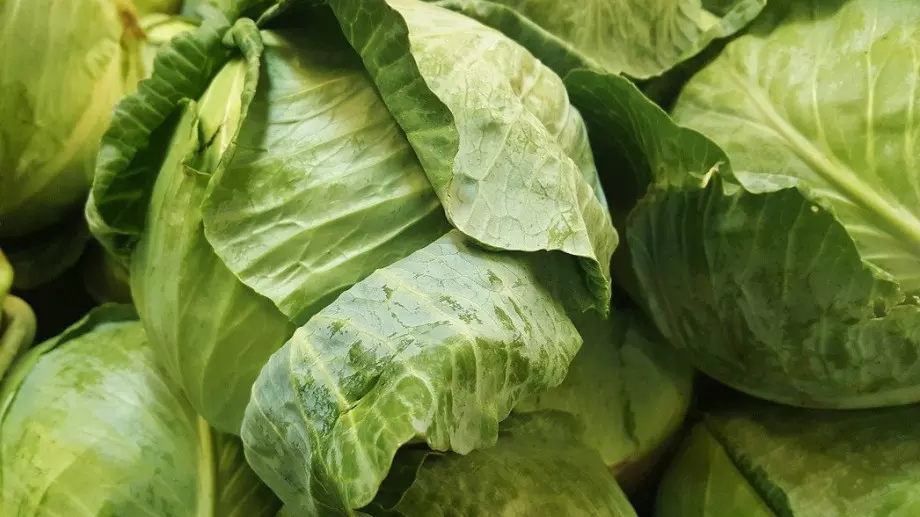 Само с 2 съставки: Ето как да предпазите зелето през септември