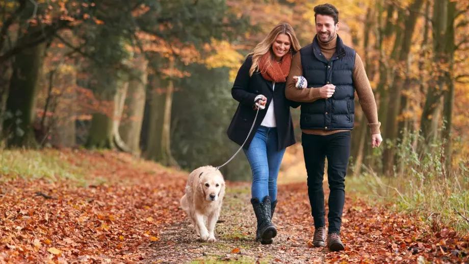 Любовен хороскоп за октомври 2021