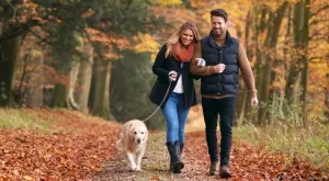 Седмичен любовен хороскоп за 26-30 септември