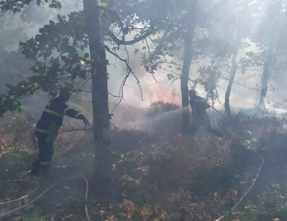 Пожарът край с. Брягово е овладян 