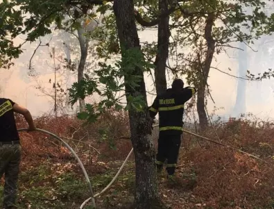 Пожар на сметище в Сливен засечен от термокамера и угасен
