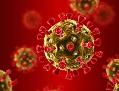 Учени установиха, че коронавирусът остава в имунната памет 8 месеца 