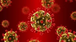 Учени: Плесени могат да спрат коронавируса 