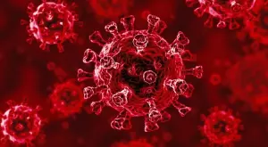 2020/11/05/0636296001604528967