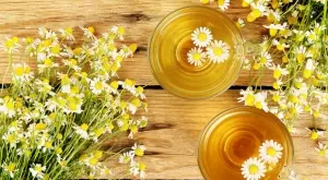 Ето какво ще се случи, ако пиете чай от лайка всеки ден   