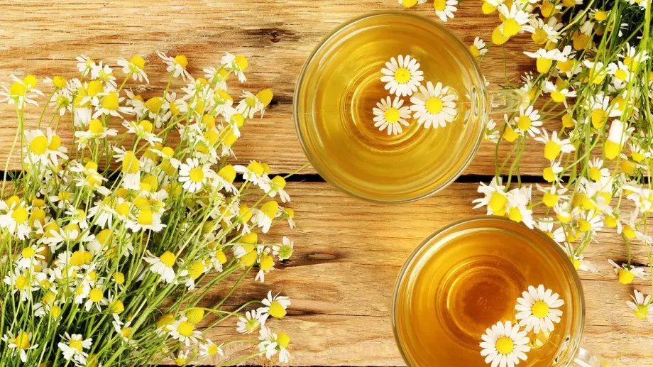 Ето какво ще се случи, ако пиете чай от лайка всеки ден   