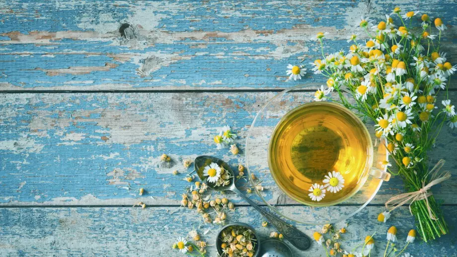 Многобройните ползи на чая от лайка