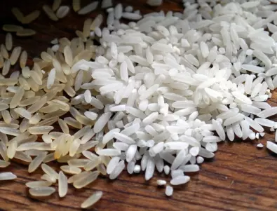 Каква е разликата между дългозърнест и късозърнест ориз