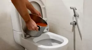 НЕ хвърляйте стара храна в тоалетната 