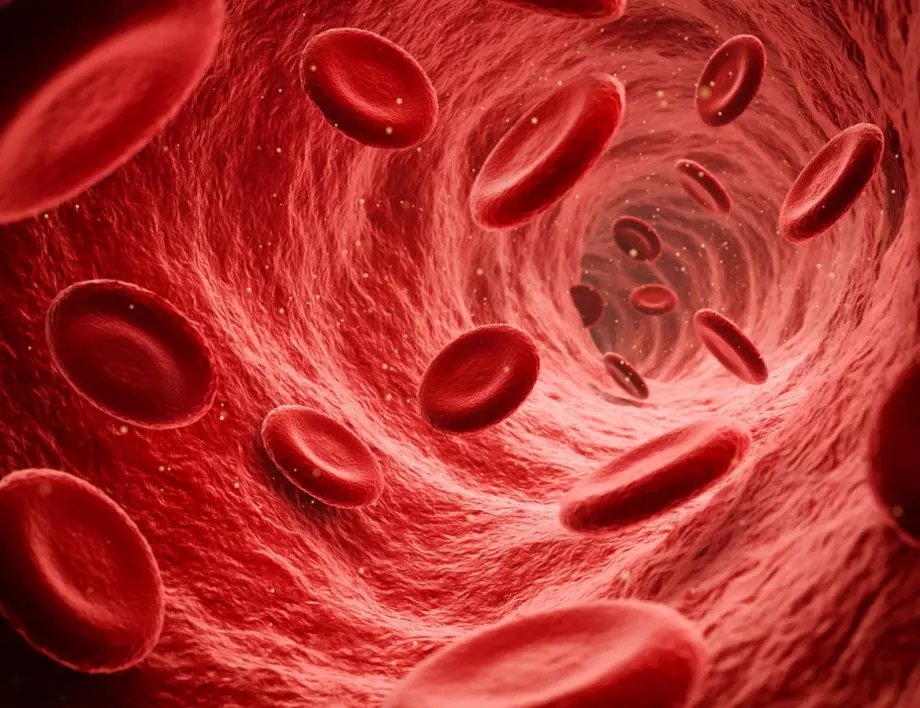 8 храни, които разреждат кръвта и предпазват от образуване на тромб