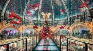 2020/11/23/0645706001606157789