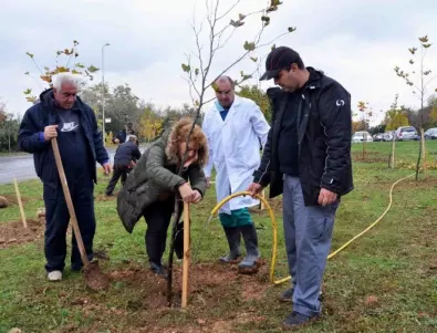 250 дръвчета обогатиха зеленото пространство на Тракийския университет в Стара Загора