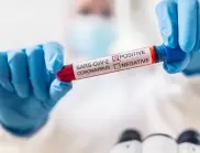Новите случаи на коронавирус намаляват, няма починали за денонощие