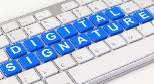 2020/11/30/0422292001606743282