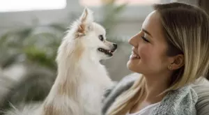 Няма да повярвате колко е високо най-ниското куче в света (СНИМКА)