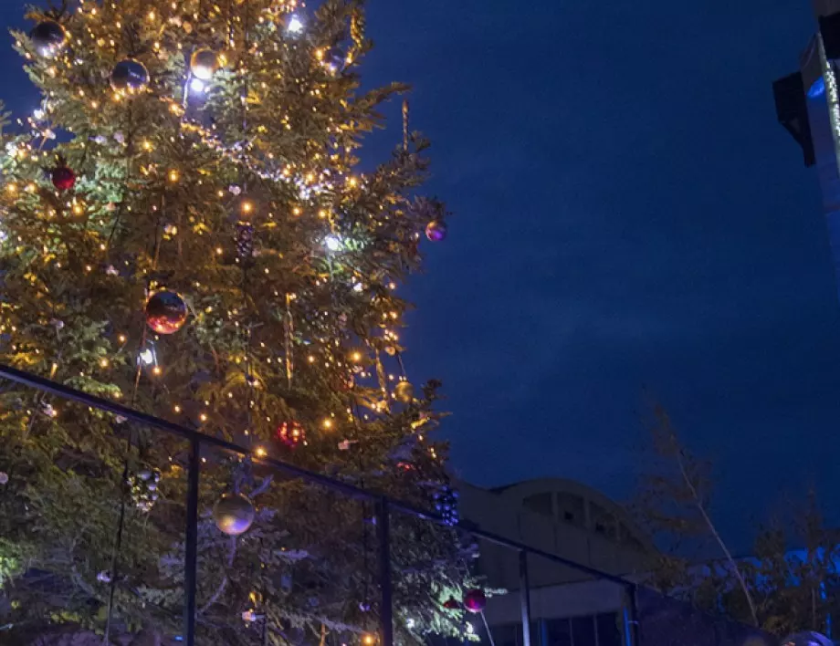 Кметът на Русе ще запали светлините на коледната елха на 30 ноември