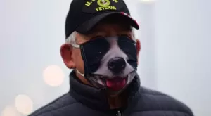 2021/01/04/0081402001609751619