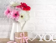  Кой има имен ден през днешния ден, 30 октомври 