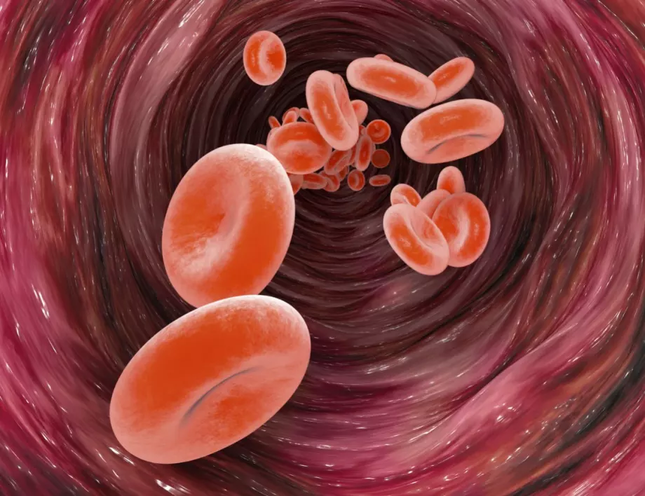 Три народни рецепти, които помагат за прочистване на кръвта