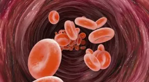 Лекар: Тези храни разтварят кръвните съсиреци