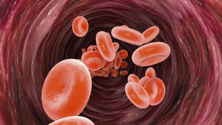 Лекар: Тези храни разтварят кръвните съсиреци