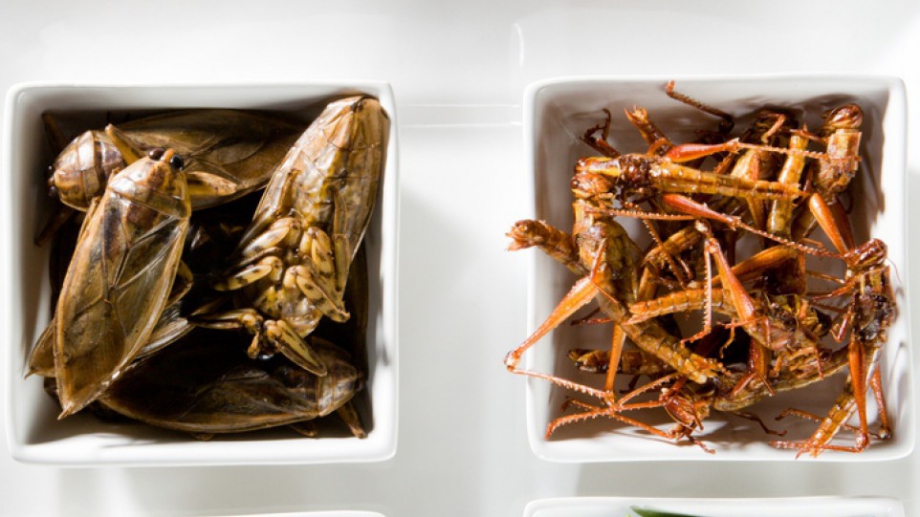 Технологиите климатичните промени повикът за устойчивост и не на последно