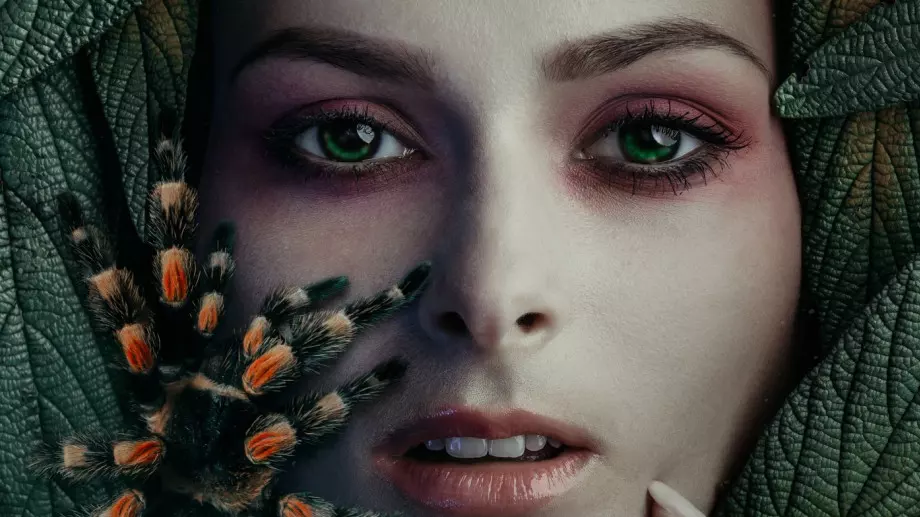 Жената паяк: Богинята на тъкачеството и баланса