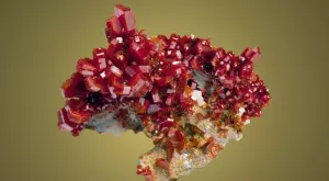 2021/01/24/0593015001611479571