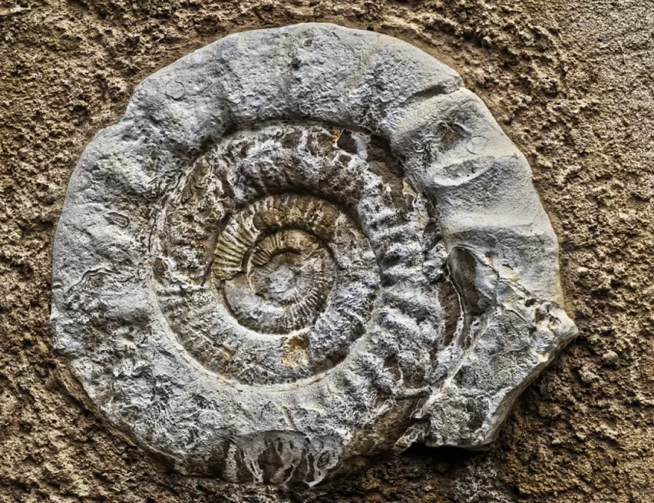 Учени откриха уникална находка в Китай, способна да промени историята