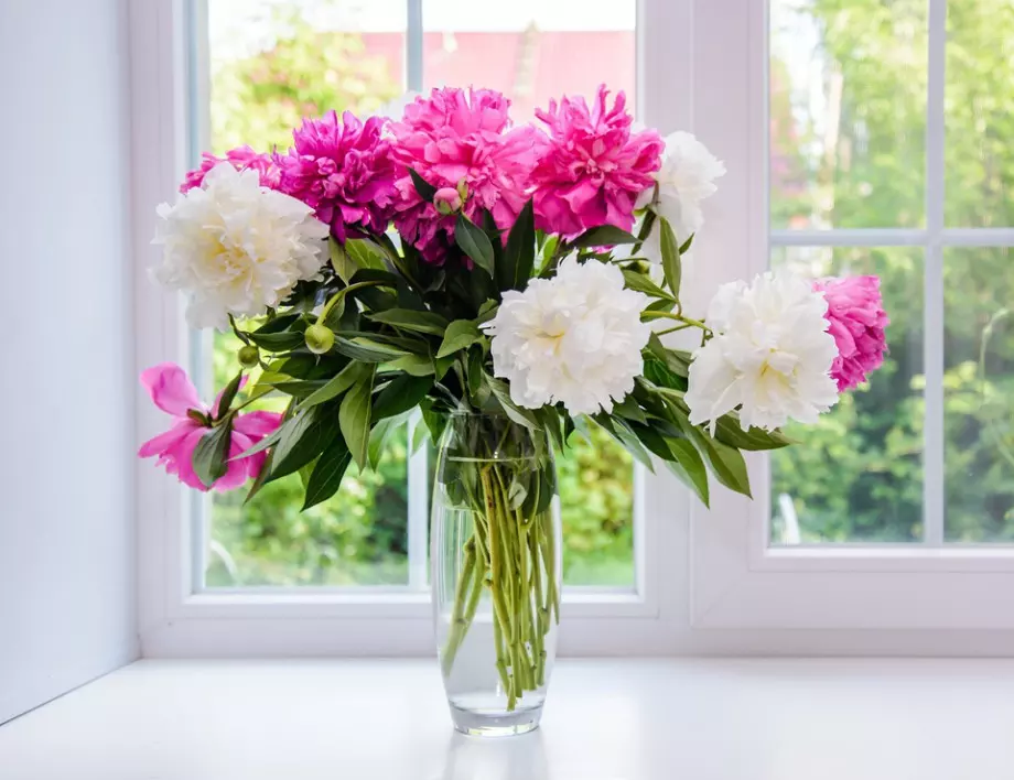 6 цветя, които издържат дълго време във ваза