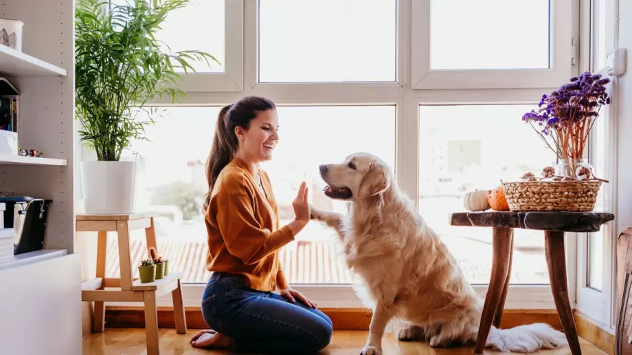 Ако искате да бъдете здрави и щастливи, вземете си домашен любимец или цвете   