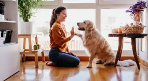 Тези факти за кучетата ще ви изумят   