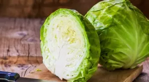 Кьосе или Балкан: Какви са разликите между двата сорта зеле