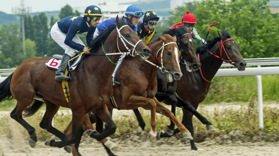 Какво представлява тротинът и популярен ли е сред жените