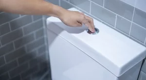 Защо хитрите домакини изсипват чаша оцет върху тоалетната чиния веднъж седмично?