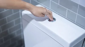 Сложете това в тоалетната и ще забравите за лошата миризма 