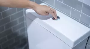 Ето защо домакините изсипват чаша със сол в тоалетната чиния