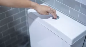 Изсипете това вечерта в тоалетната и сутринта ще останете изненадани от резултата