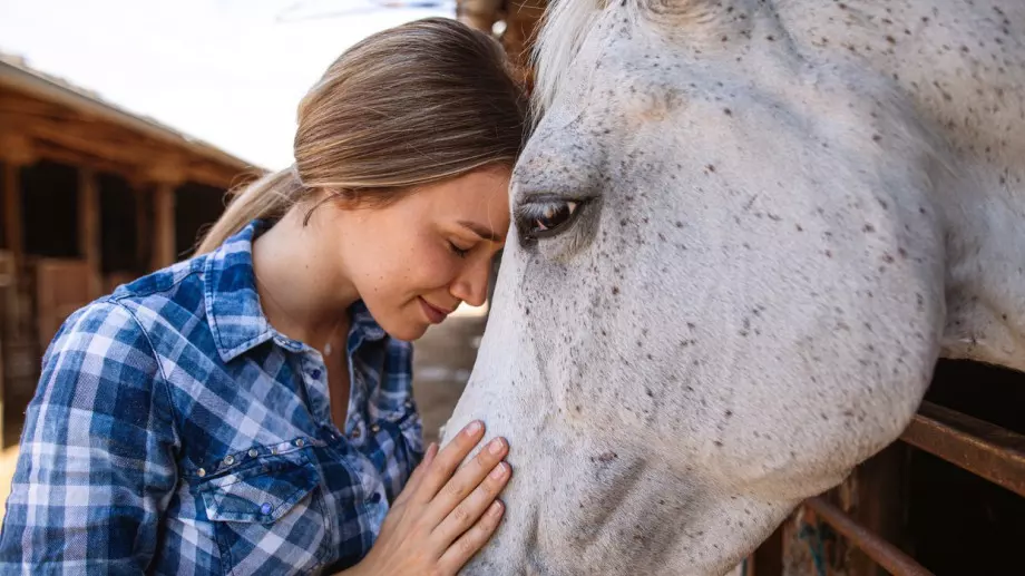 Качествата и недостатъците ви според китайския хороскоп