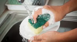 2021/02/20/0266209001613840576