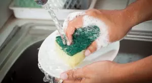 Кухненската гъба развъжда хиляди бактерии