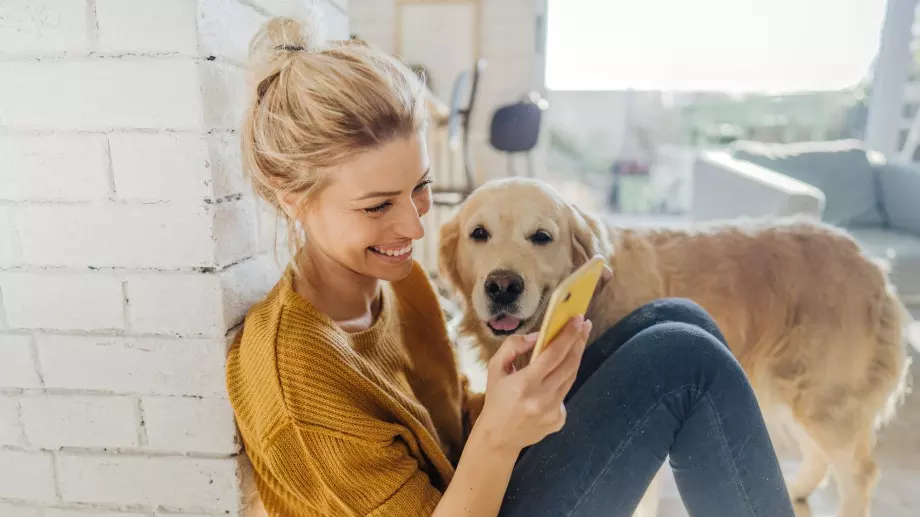 Виц за днес, 19 май